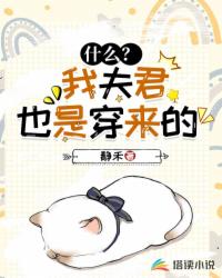 什么？我夫君也是穿来的