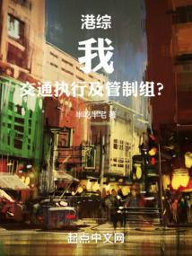 港综：我，交通执行及管制组？